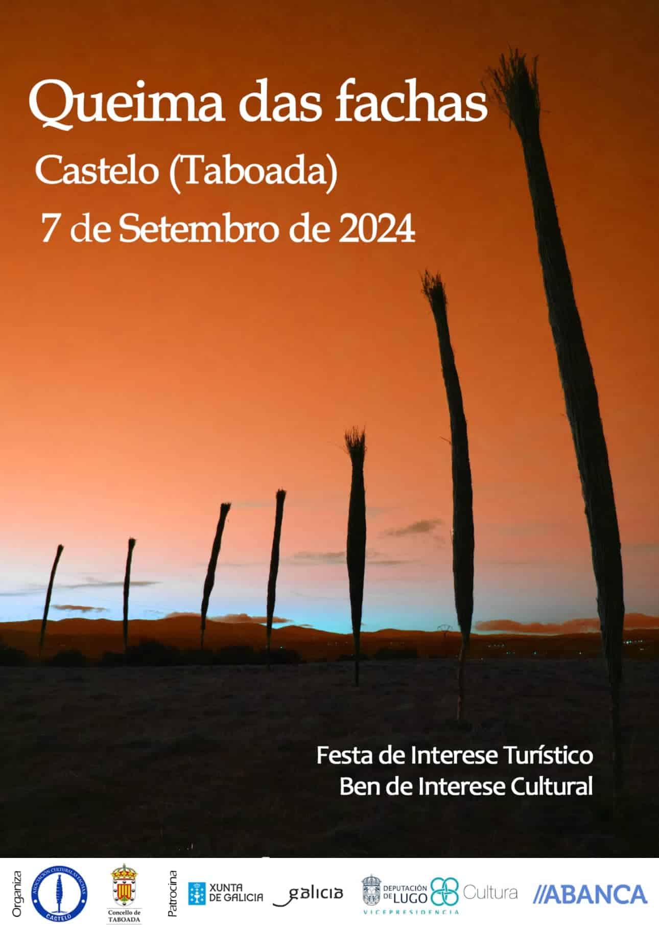 Queima das Fachas de Castelo