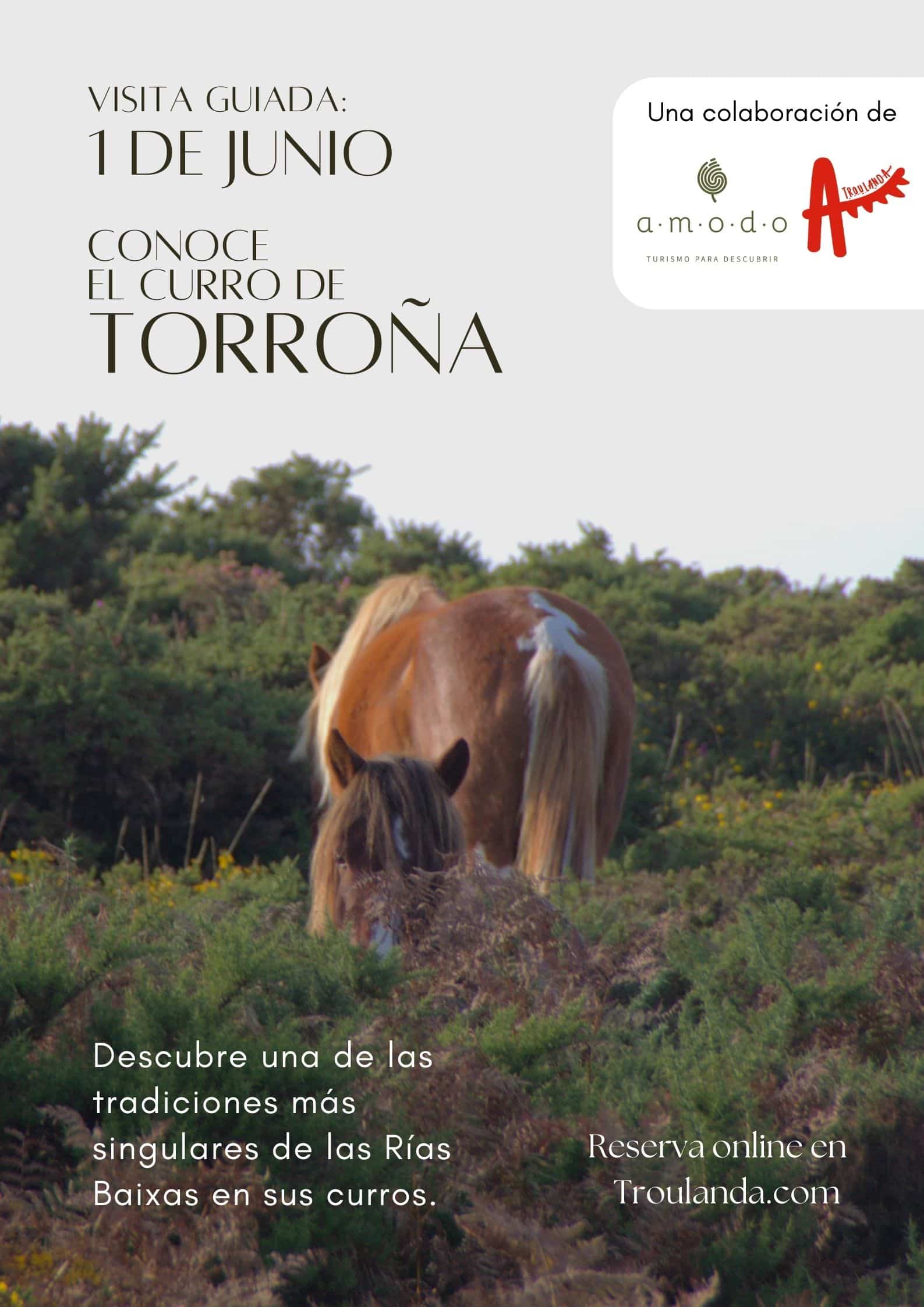Visita guiada al Curro de Torroña