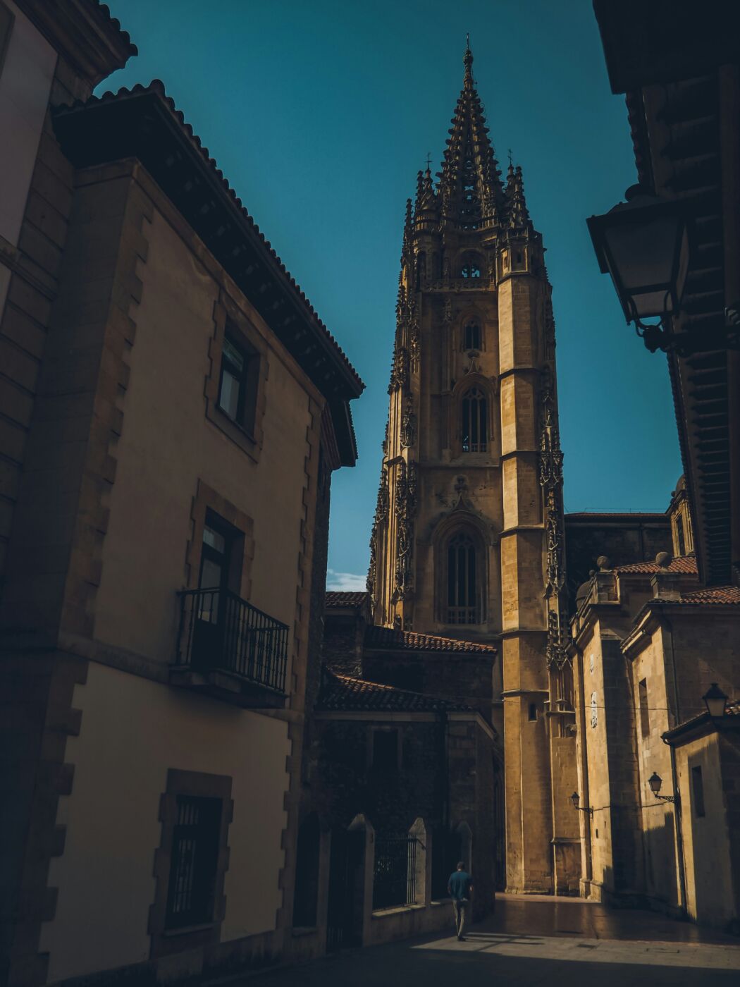 Tour privado por Oviedo