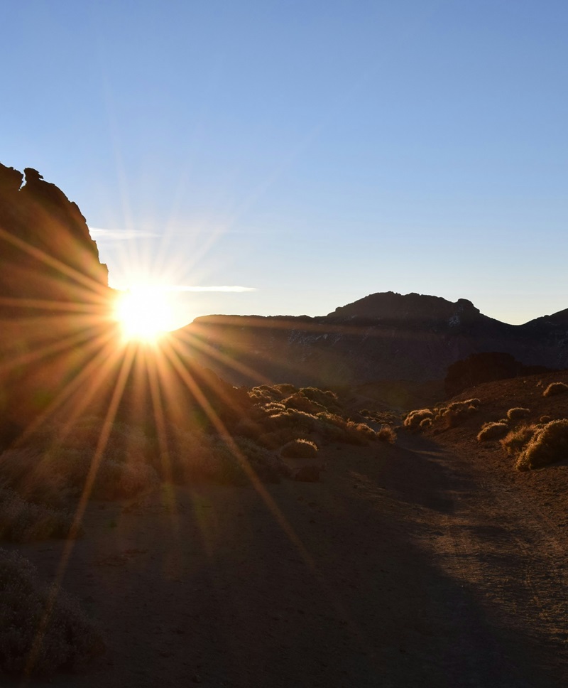 Visita guiada diurna al Observatorio astronómico del Teide
