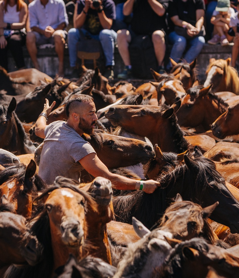 Rapa das Bestas asisitir al curro en Sabucedo
