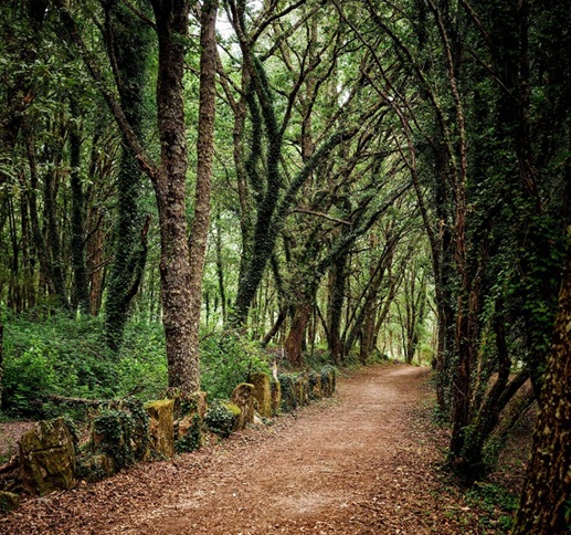 Ruta de senderismo guiada en el Xurés: Muíños e natureza