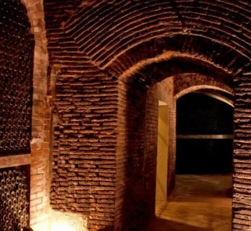 visita y cata bodegas MOCEN Rueda