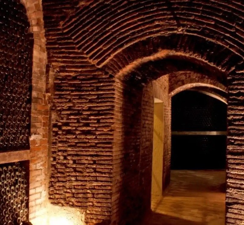 Visita y cata a Bodegas Mocén con tapeo ibérico