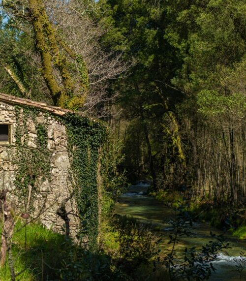 ruta de molinos de agua Tui
