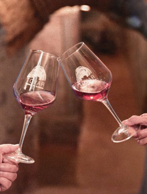 Cata bodegas tovar valladolid